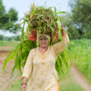 Crop Residue Management & Regenerative Agriculture